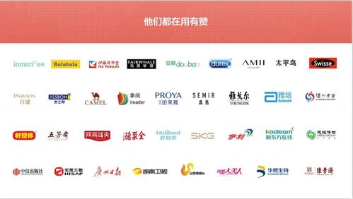 廣州開(kāi)發(fā)小程序的公司 廣州有贊公司